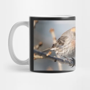 Mr. finch Mug